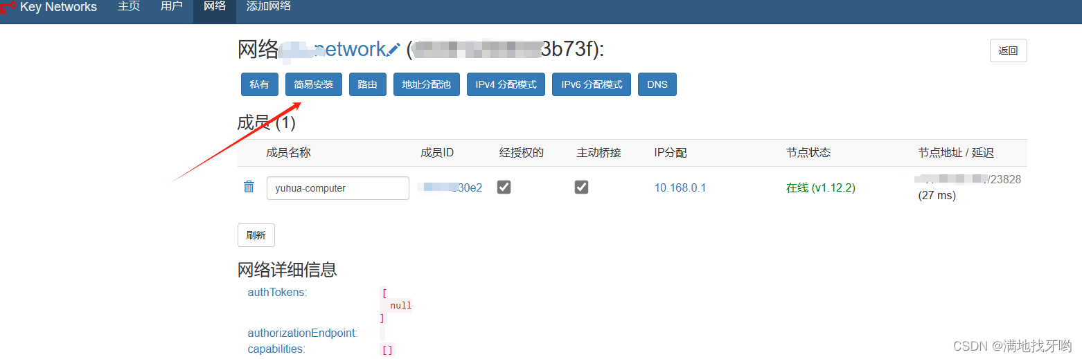 简易安装zerotier