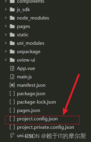 project_config_json