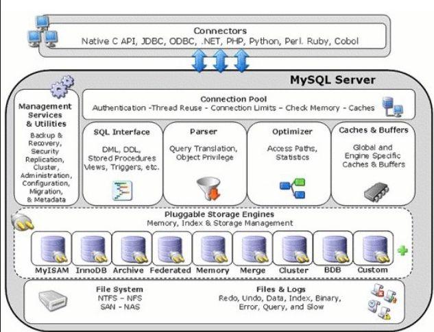在Linux上运行SQL服务器的3个好处