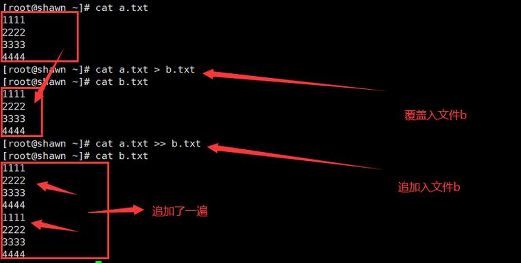 linux下输入输出重定向