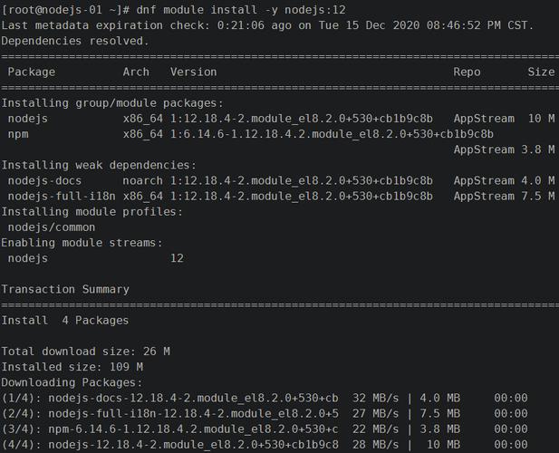 在VPS服务器上安装Node.js