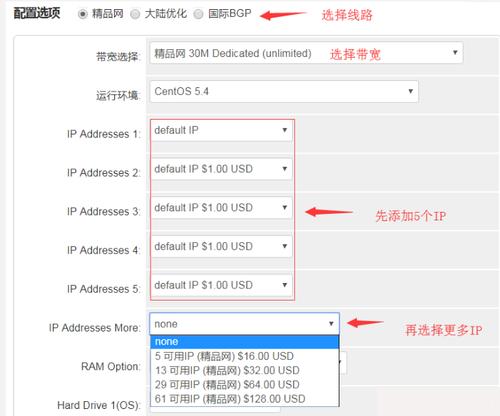 站群服务器多 ip 应该怎么使用