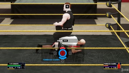 WWE 2K18的游戏基本操作